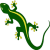 The Forrester Logo