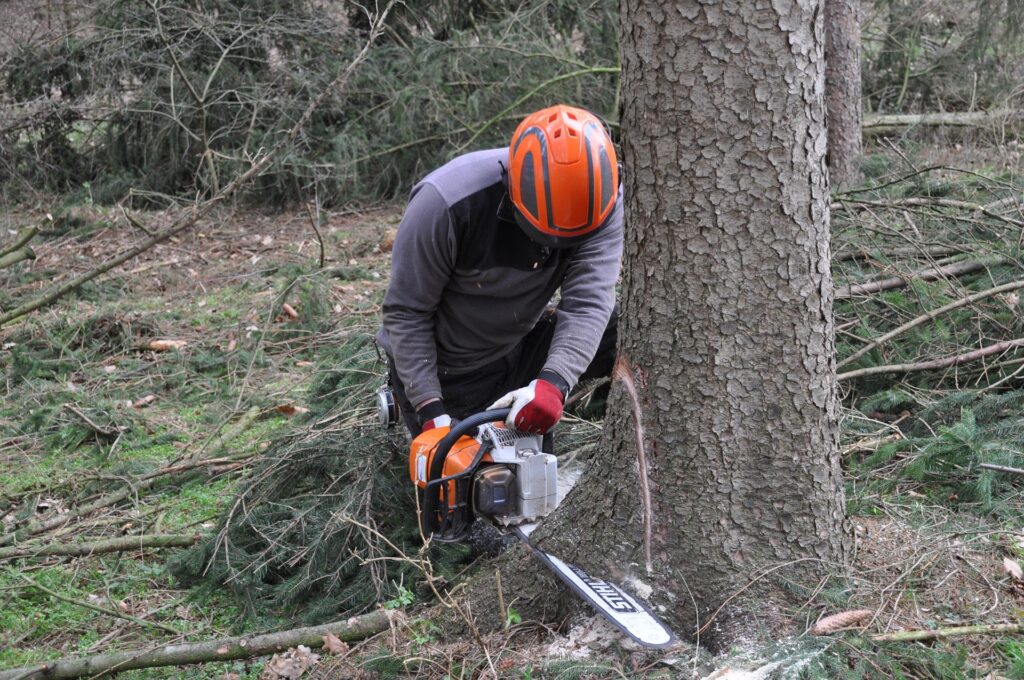 Kosten für Handwerker berechnen 3 Baum fällen